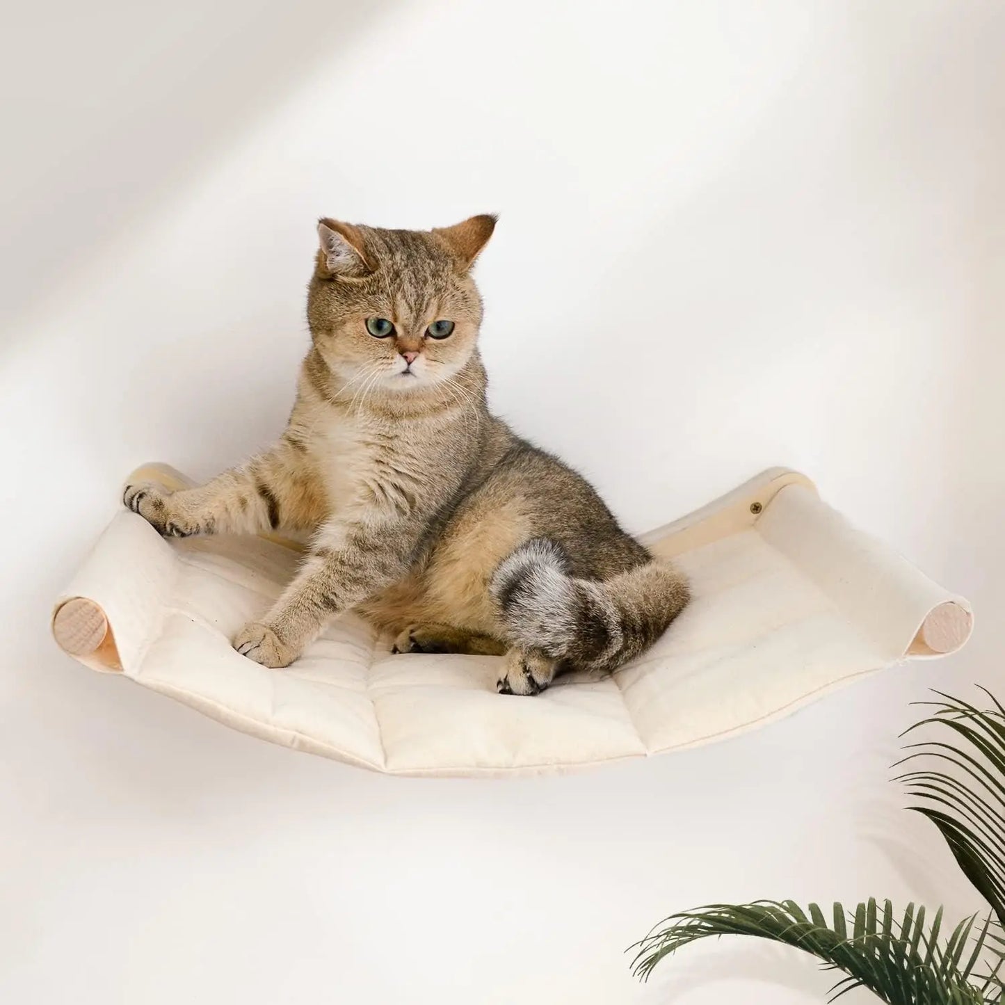 Wall-Mounted Cat Hammock Bed & Perch