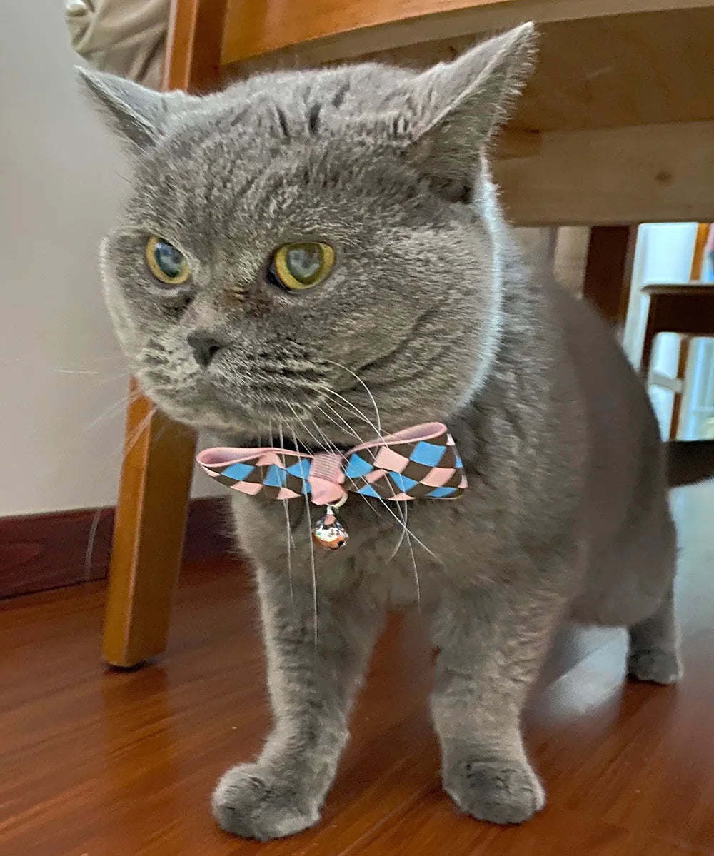 Cat Bow Tie Collar – Adjustable with Bell for Holidays & Photos