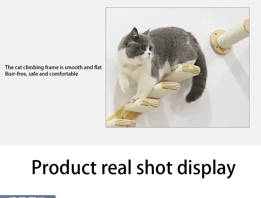 Wall-mounted Cat Hammock Bed & Shelf Set
