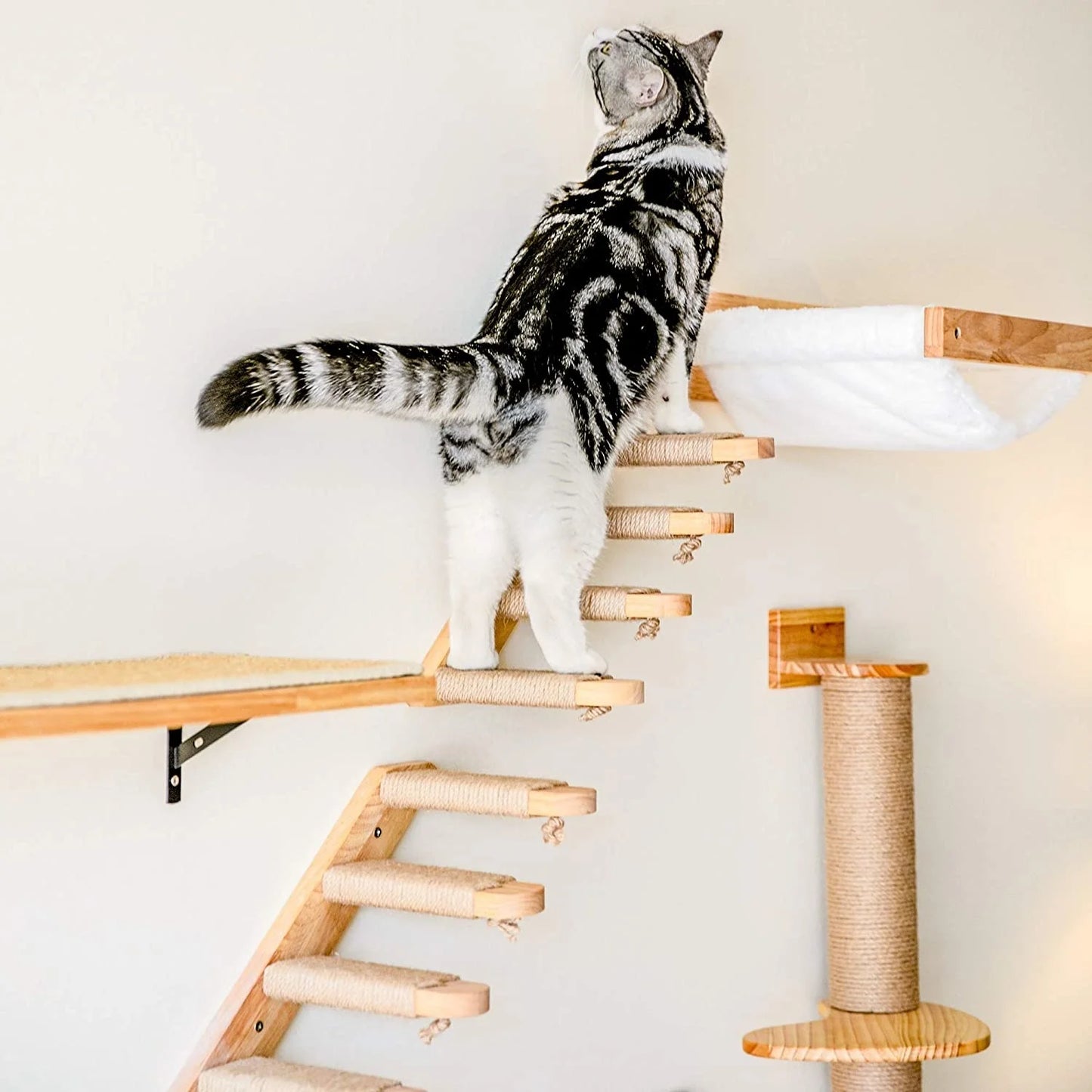 Wall-mounted Cat Hammock Bed & Shelf Set