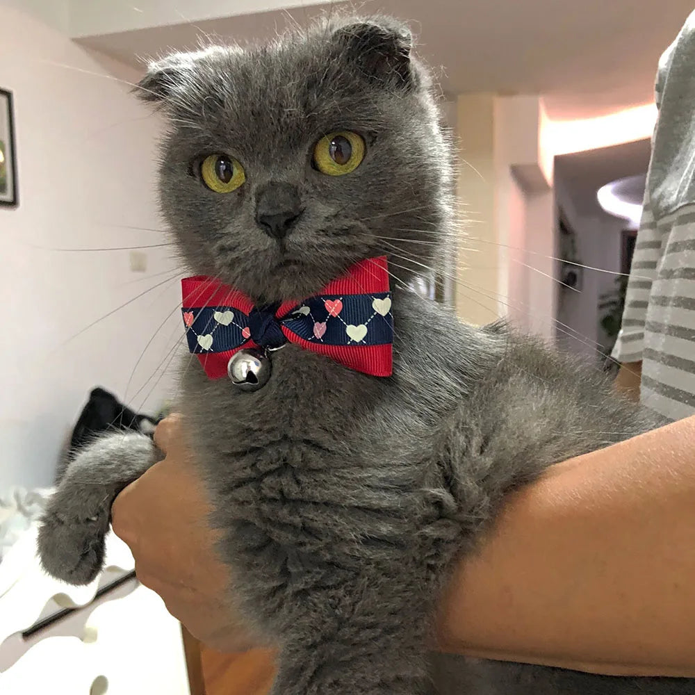 Cat Bow Tie Collar – Adjustable with Bell for Holidays & Photos