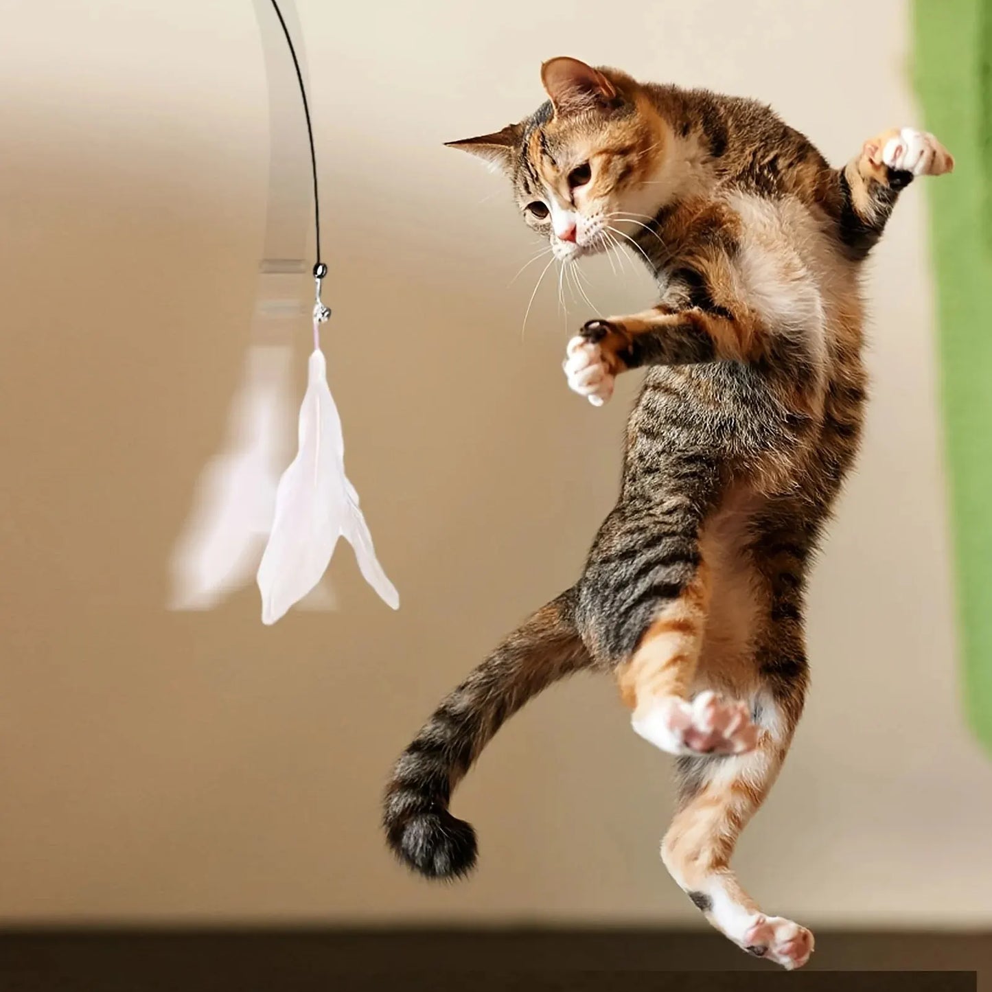 Feather & Bell Cat Teaser Wand – Suction Cup Pole