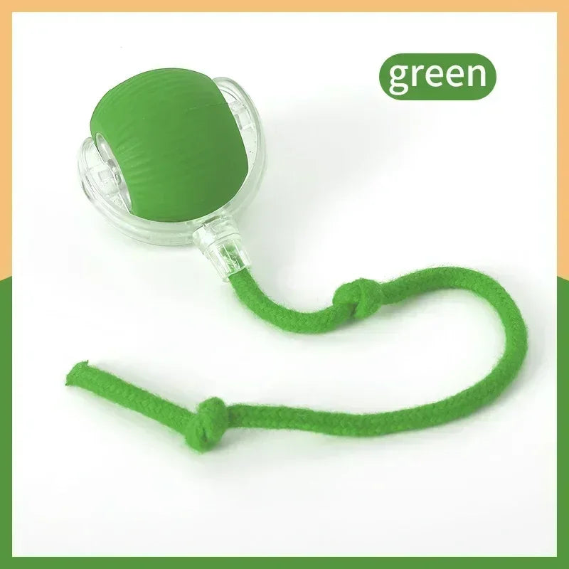 Smart Rolling LED Cat Toy Ball – USB Rechargeable