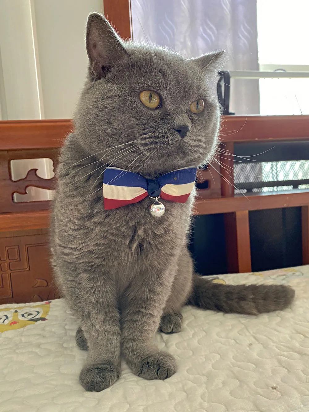 Cat Bow Tie Collar – Adjustable with Bell for Holidays & Photos
