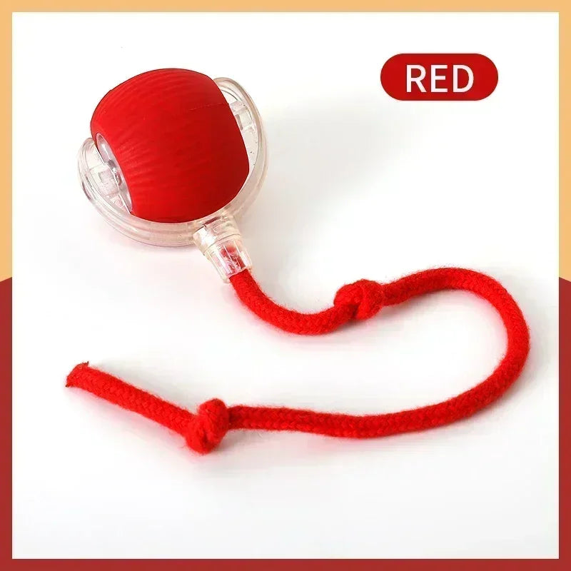 Smart Rolling LED Cat Toy Ball – USB Rechargeable