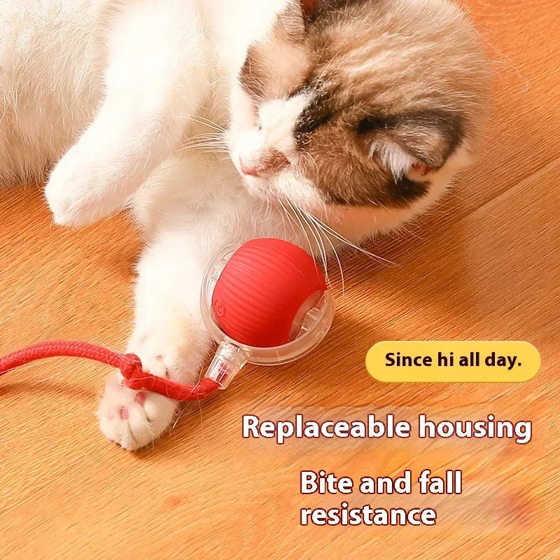 Smart Rolling LED Cat Toy Ball – USB Rechargeable