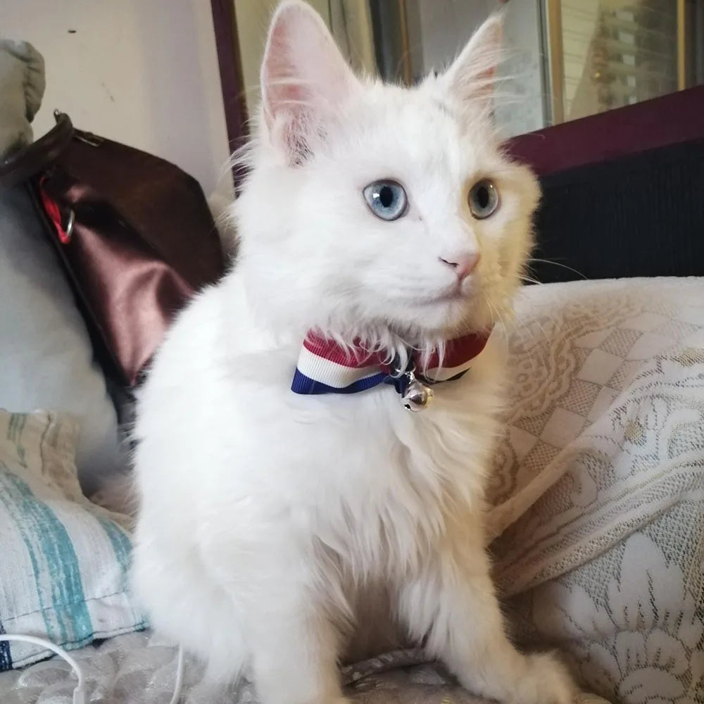 Cat Bow Tie Collar – Adjustable with Bell for Holidays & Photos