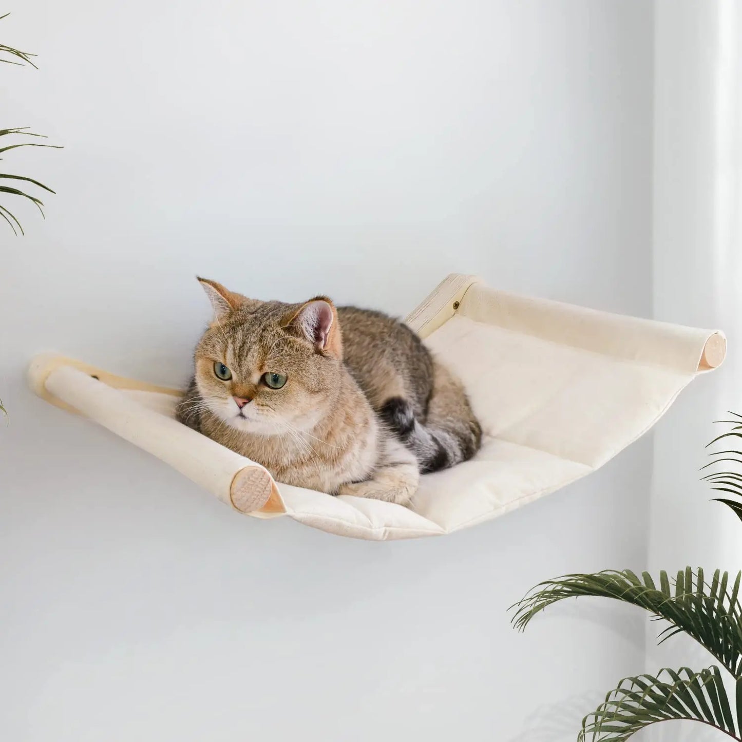 Wall-Mounted Cat Hammock Bed & Perch