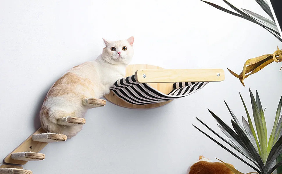 Wall-mounted Cat Hammock Bed & Shelf Set