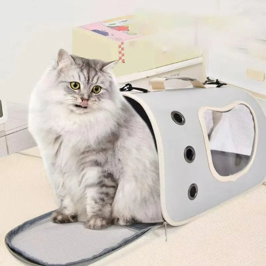 Cat Travel Backpack – Breathable & Stylish