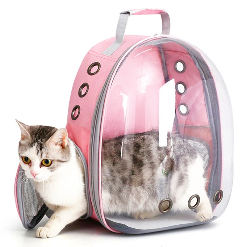 Transparent Bubble Cat Carrier Backpack – Travel Capsule Design