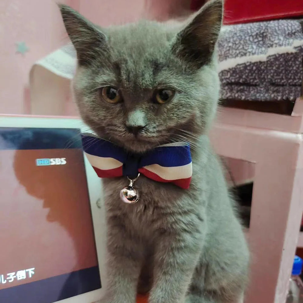 Cat Bow Tie Collar – Adjustable with Bell for Holidays & Photos